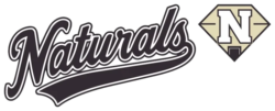 Natural Ball Player